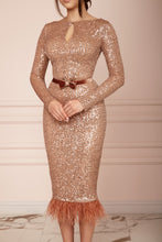 Load image into Gallery viewer, MALLINY ICON Golden Sequin Midi Dress