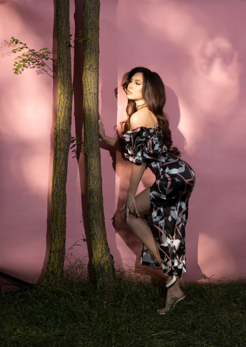 BellaVita Dress