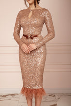 Load image into Gallery viewer, MALLINY ICON Golden Sequin Midi Dress
